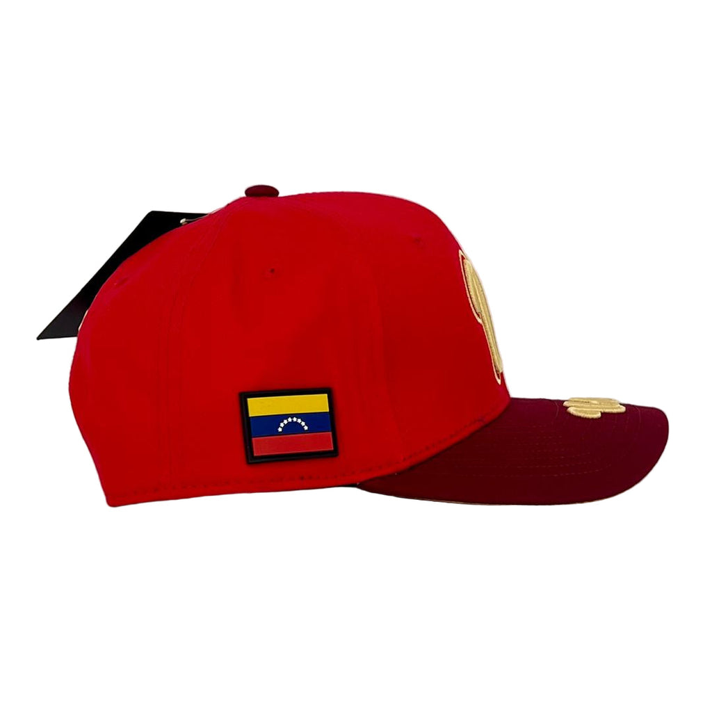 VZLA V-11